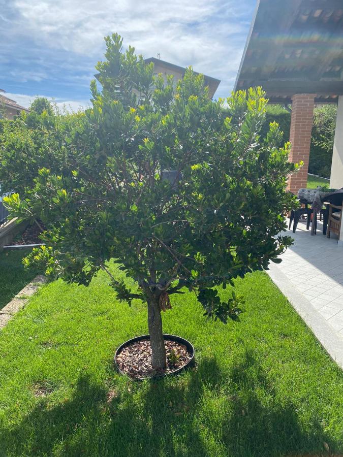 Casa Arge Acomodação com café da manhã La Morra Exterior foto