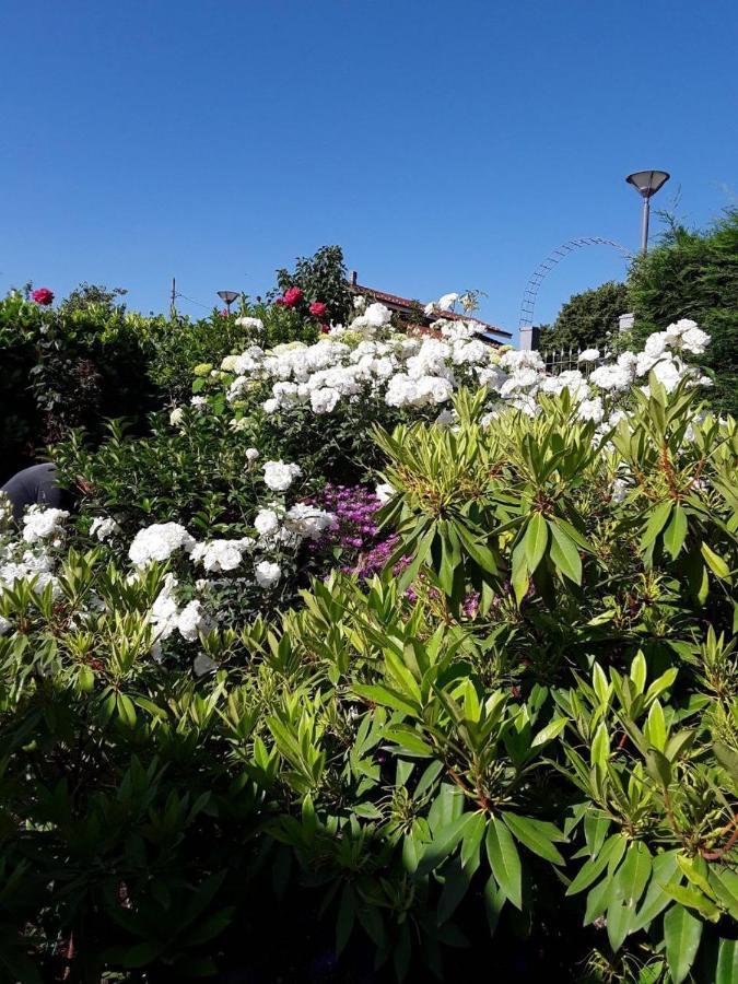 Casa Arge Acomodação com café da manhã La Morra Exterior foto